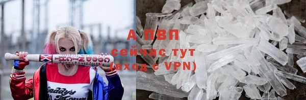 ПСИЛОЦИБИНОВЫЕ ГРИБЫ Верея